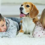 5 Carpet Cleaning Tips for Pet Owners