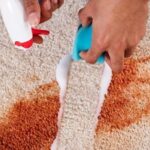 Spot and Stain Remover Techniques That Will Impress Your Family